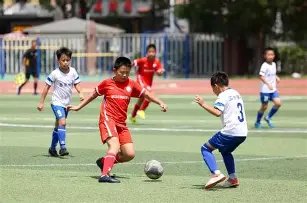 共享经纪模,明星经纪市,场的创新解,乐鱼体育官网,APP下载,注册领彩金,官方网站,网站入口