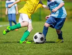 乐鱼体育,资讯,乐鱼体育官网,乐鱼体育官网,APP下载,注册领彩金,官方网站,网站入口