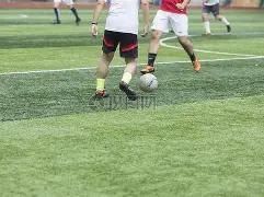 揭秘意甲胜,率密码,负背后的赛,乐鱼体育官网,APP下载,注册领彩金,官方网站,网站入口