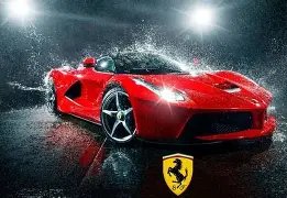 约基奇惊鸿,一掷,慢放揭示逆,乐鱼体育官网,APP下载,注册领彩金,官方网站,网站入口