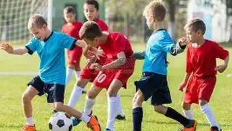 乐鱼体育 资讯 121735 4a8