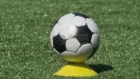 乐鱼体育 产品 120617 yn3