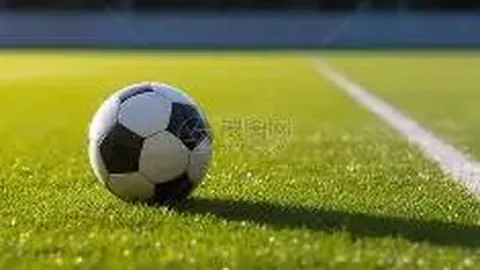 乐鱼体育 产品 121016 q6s