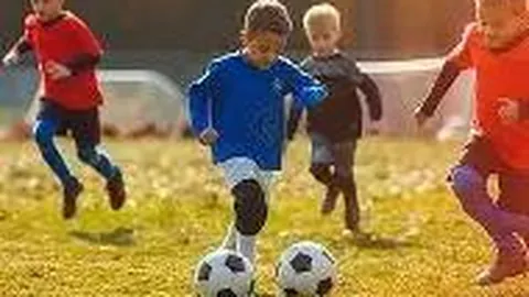 乐鱼体育 产品 122301 ks3